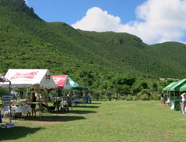 The Lawn at Emilio Wilson Estate, Click to enlarge!